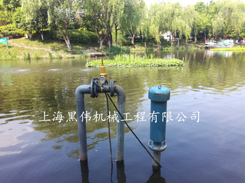 河道治理沉水式鼓大香蕉视频网站 河道治理沉水式鼓大香蕉视频网站