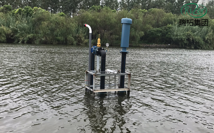 沉水大香蕉视频网站